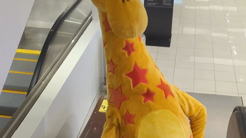 Toys"R"Us // TikTok // CATCH A FLIGHT